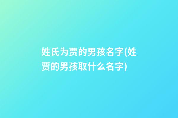 姓氏为贾的男孩名字(姓贾的男孩取什么名字)
