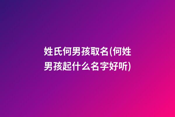 姓氏何男孩取名(何姓男孩起什么名字好听)