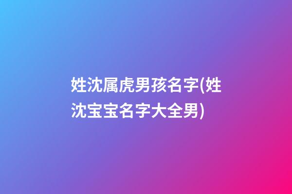 姓沈属虎男孩名字(姓沈宝宝名字大全男)
