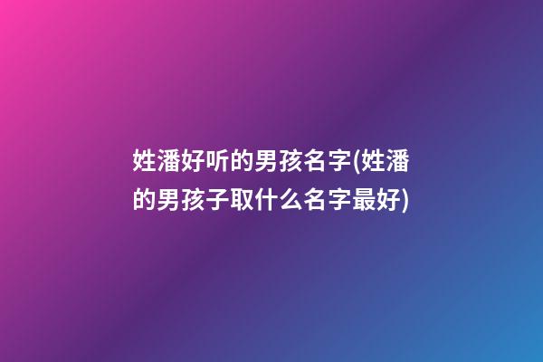 姓潘好听的男孩名字(姓潘的男孩子取什么名字最好)