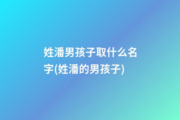 姓潘男孩子取什么名字(姓潘的男孩子)
