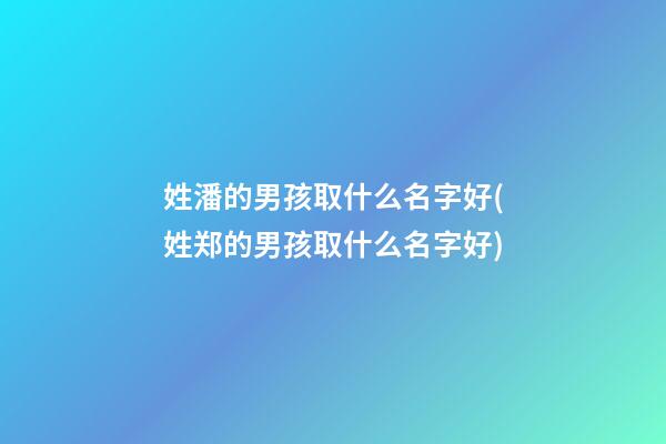 姓潘的男孩取什么名字好(姓郑的男孩取什么名字好)