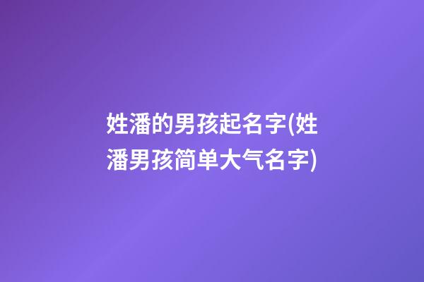姓潘的男孩起名字(姓潘男孩简单大气名字)