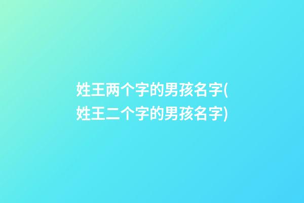 姓王两个字的男孩名字(姓王二个字的男孩名字)
