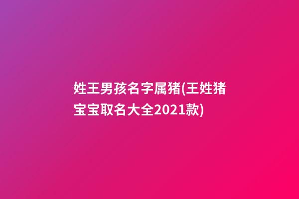 姓王男孩名字属猪(王姓猪宝宝取名大全2021款)