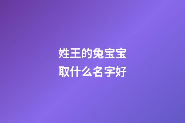 姓王的兔宝宝取什么名字好(姓王的兔宝宝取什么名字好呢)-第1张-宝宝起名-玄机派