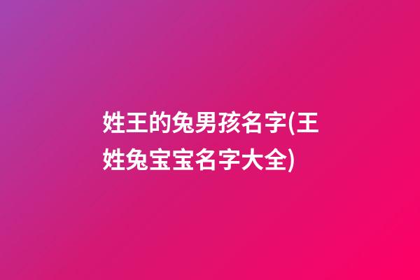 姓王的兔男孩名字(王姓兔宝宝名字大全)