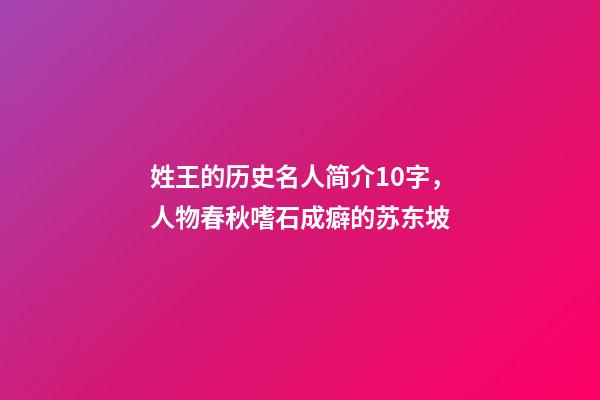 姓王的历史名人简介10字，人物春秋嗜石成癖的苏东坡-第1张-观点-玄机派