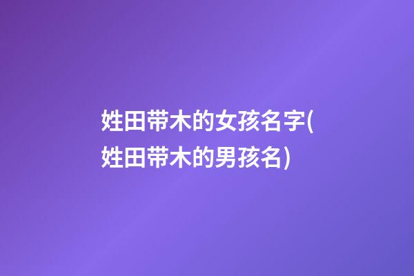 姓田带木的女孩名字(姓田带木的男孩名)