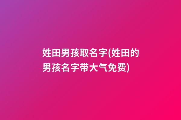 姓田男孩取名字(姓田的男孩名字带大气免费)