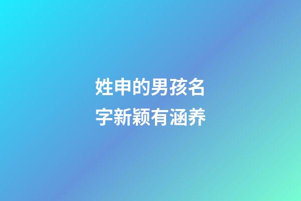 姓申的男孩名字新颖有涵养