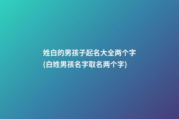 姓白的男孩子起名大全两个字(白姓男孩名字取名两个字)