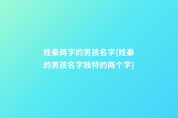 姓秦两字的男孩名字(姓秦的男孩名字独特的两个字)