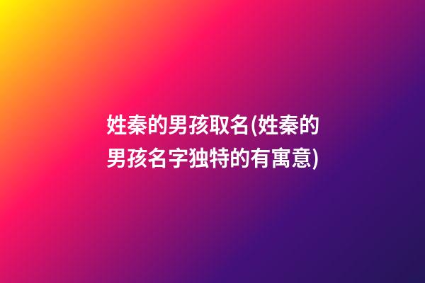 姓秦的男孩取名(姓秦的男孩名字独特的有寓意)