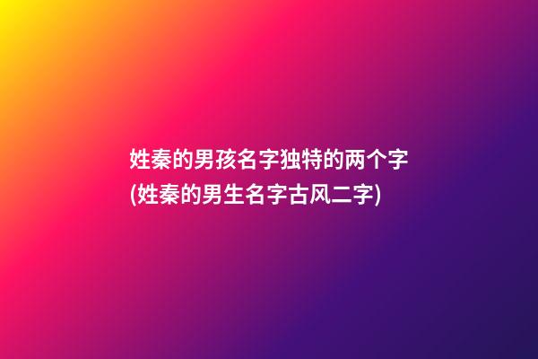姓秦的男孩名字独特的两个字(姓秦的男生名字古风二字)