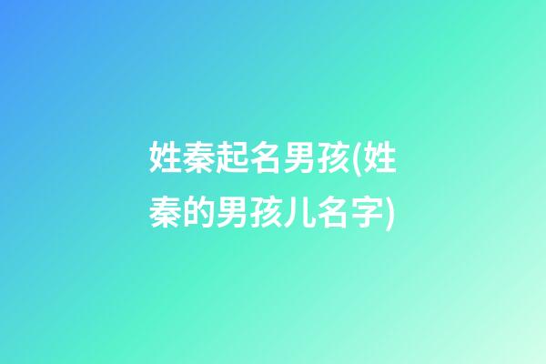 姓秦起名男孩(姓秦的男孩儿名字)