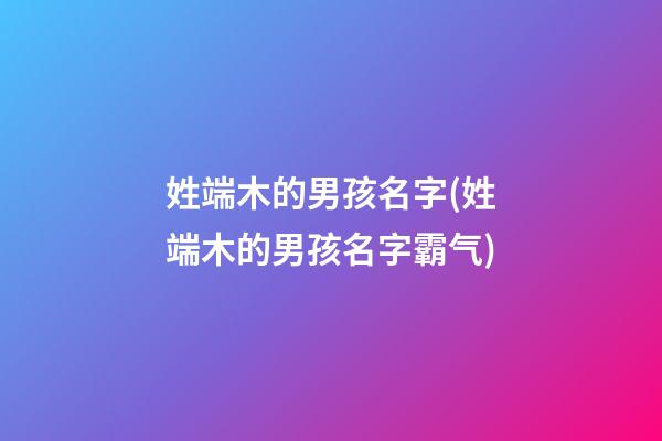 姓端木的男孩名字(姓端木的男孩名字霸气)
