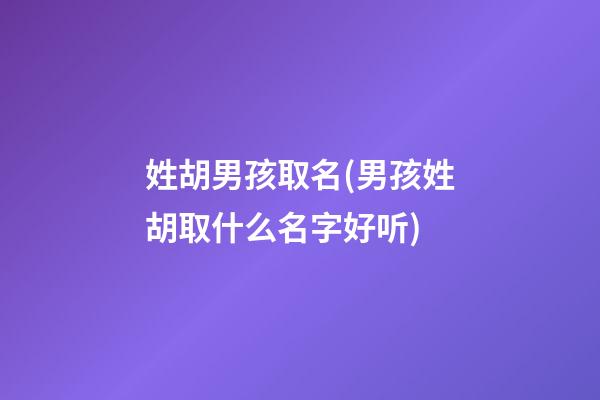 姓胡男孩取名(男孩姓胡取什么名字好听)