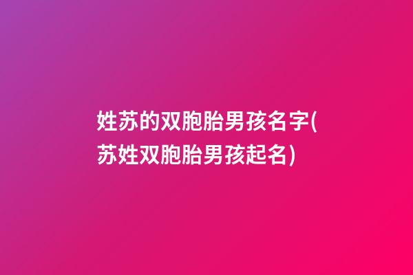 姓苏的双胞胎男孩名字(苏姓双胞胎男孩起名)