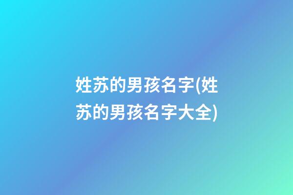 姓苏的男孩名字(姓苏的男孩名字大全)