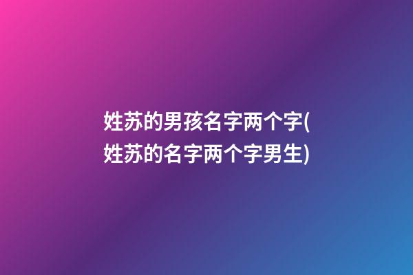 姓苏的男孩名字两个字(姓苏的名字两个字男生)