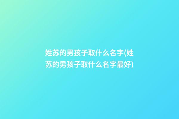 姓苏的男孩子取什么名字(姓苏的男孩子取什么名字最好)