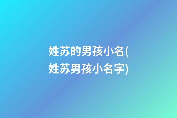 姓苏的男孩小名(姓苏男孩小名字)