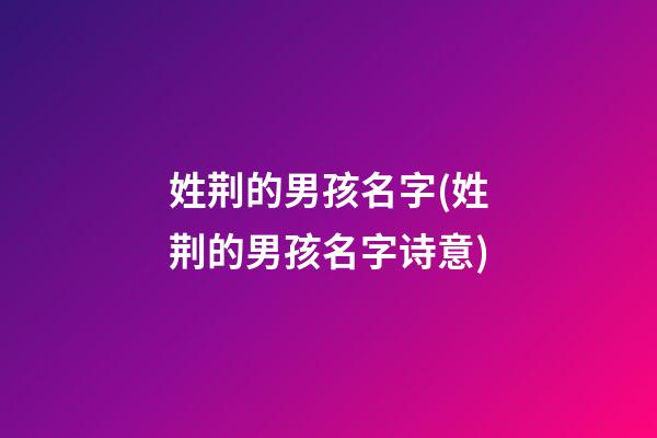 姓荆的男孩名字(姓荆的男孩名字诗意)