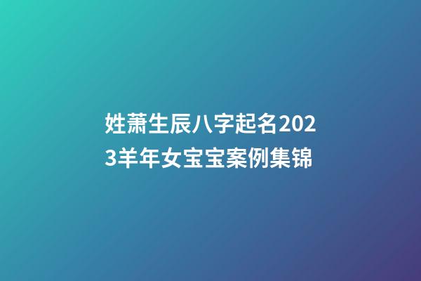 姓萧生辰八字起名2023羊年女宝宝案例集锦