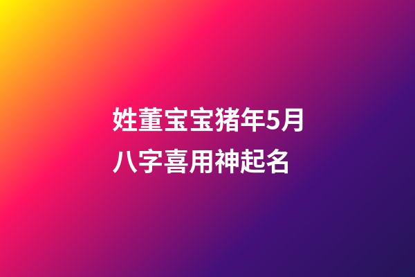 姓董宝宝猪年5月八字喜用神起名