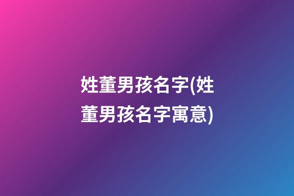 姓董男孩名字(姓董男孩名字寓意)