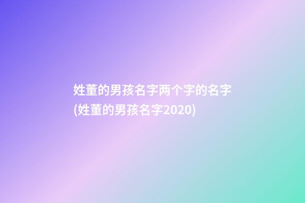 姓董的男孩名字两个字的名字(姓董的男孩名字2020)