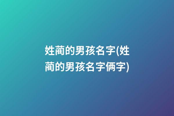 姓蔺的男孩名字(姓蔺的男孩名字俩字)