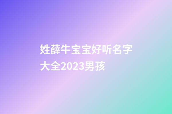 姓薛牛宝宝好听名字大全2023男孩