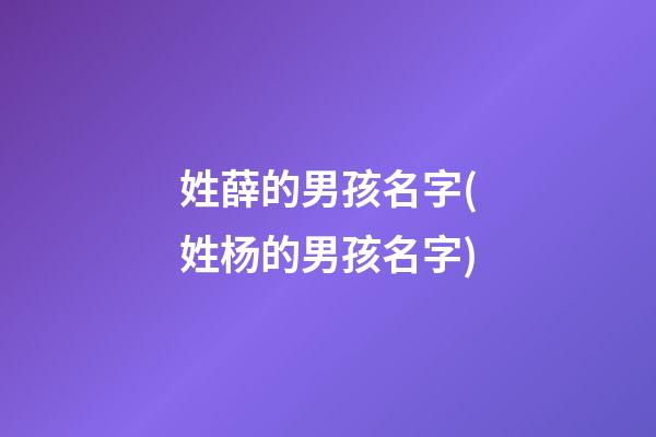 姓薛的男孩名字(姓杨的男孩名字)