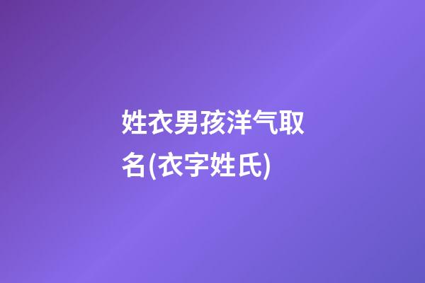 姓衣男孩洋气取名(衣字姓氏)