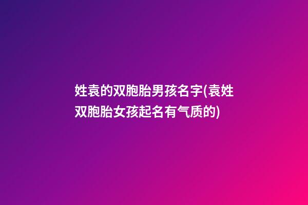 姓袁的双胞胎男孩名字(袁姓双胞胎女孩起名有气质的)