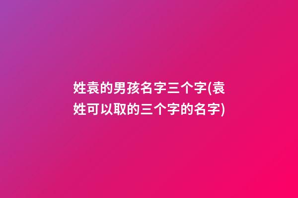 姓袁的男孩名字三个字(袁姓可以取的三个字的名字)
