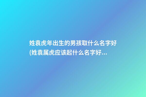 姓袁虎年出生的男孩取什么名字好(姓袁属虎应该起什么名字好)
