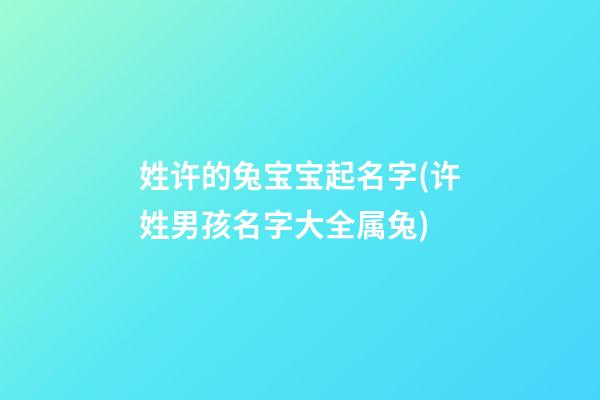姓许的兔宝宝起名字(许姓男孩名字大全属兔)
