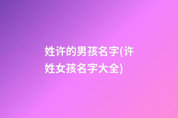姓许的男孩名字(许姓女孩名字大全)