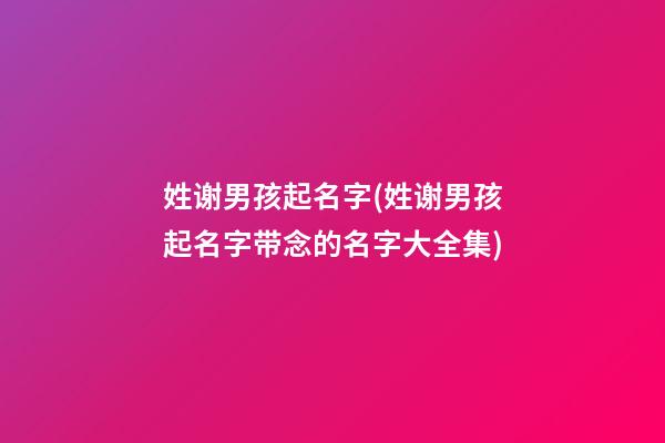 姓谢男孩起名字(姓谢男孩起名字带念的名字大全集)