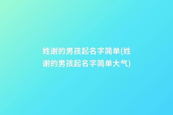 姓谢的男孩起名字简单(姓谢的男孩起名字简单大气)