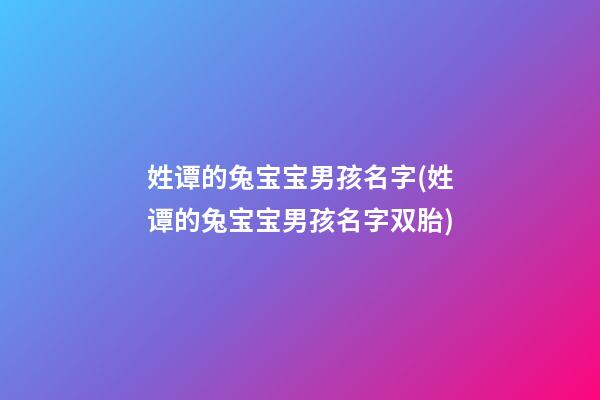 姓谭的兔宝宝男孩名字(姓谭的兔宝宝男孩名字双胎)
