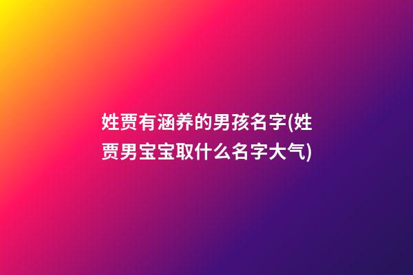 姓贾有涵养的男孩名字(姓贾男宝宝取什么名字大气)