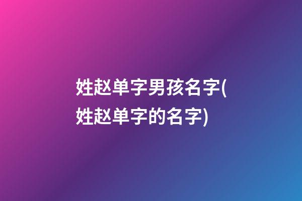 姓赵单字男孩名字(姓赵单字的名字)