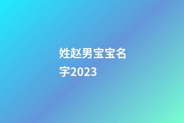 姓赵男宝宝名字2023