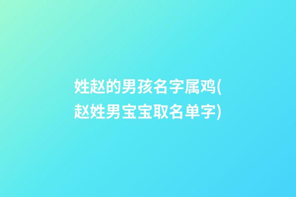 姓赵的男孩名字属鸡(赵姓男宝宝取名单字)