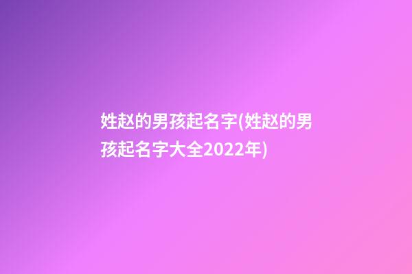 姓赵的男孩起名字(姓赵的男孩起名字大全2022年)