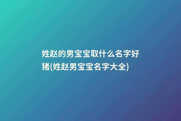 姓赵的男宝宝取什么名字好猪(姓赵男宝宝名字大全)